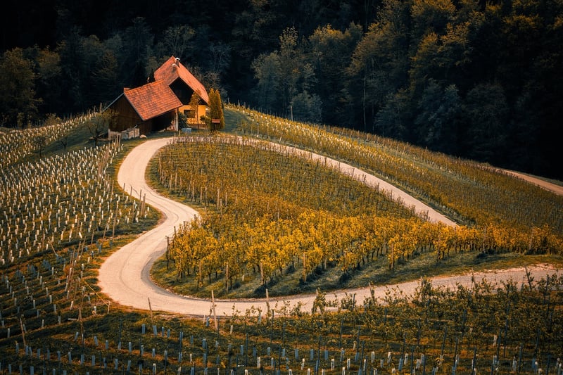 Mystical Place